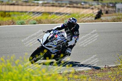media/May-10-2024-2WTD (Fri) [[c88d7990af]]/Group B/Session 2-The Bowl/